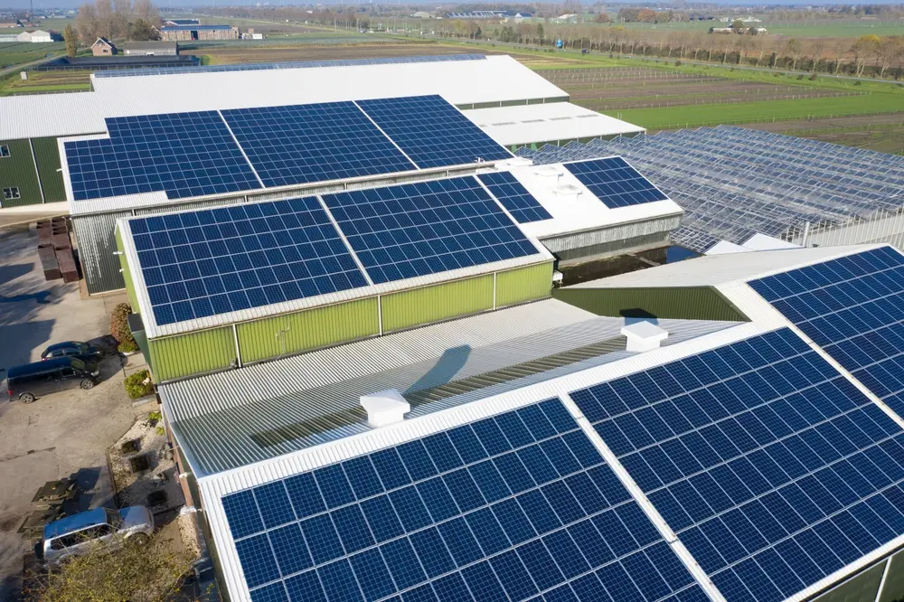 New Energy Industry
